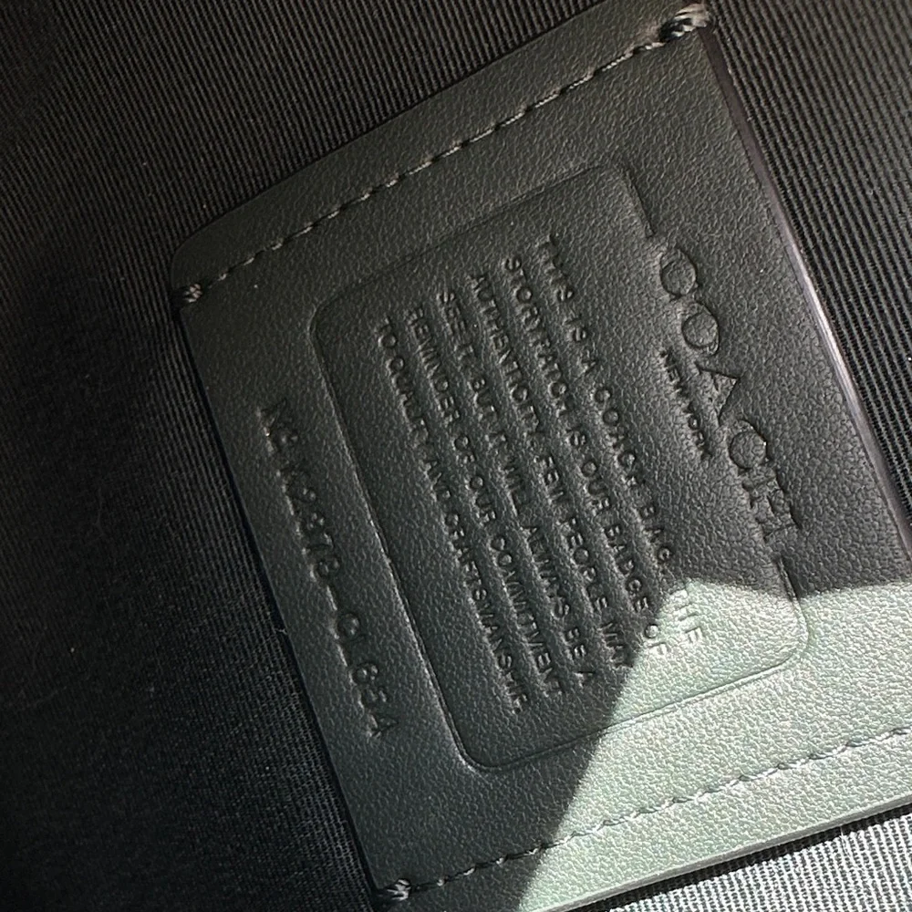 Coach Outlet Nina Zippered Tote in Gold Amazon Green Croc Embossed - Picture 5 of 14